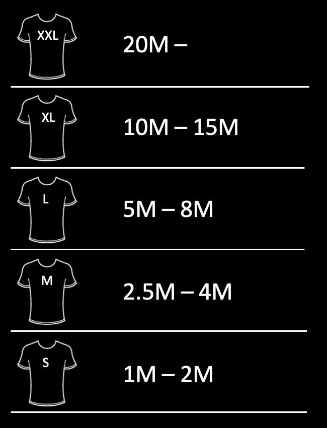 Epic T-shirt cost estimation