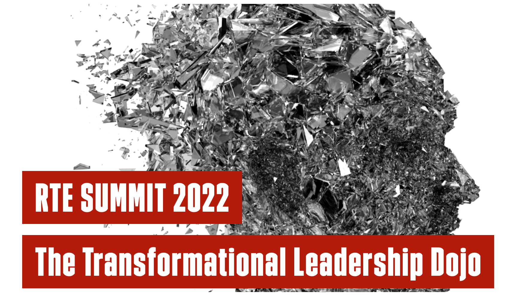 The Transformational Leadership Dojo - practical Leadership Tools for the RTE